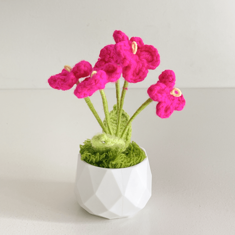 Handcrafted Crochet Flower Planter A15 - Small Beauty