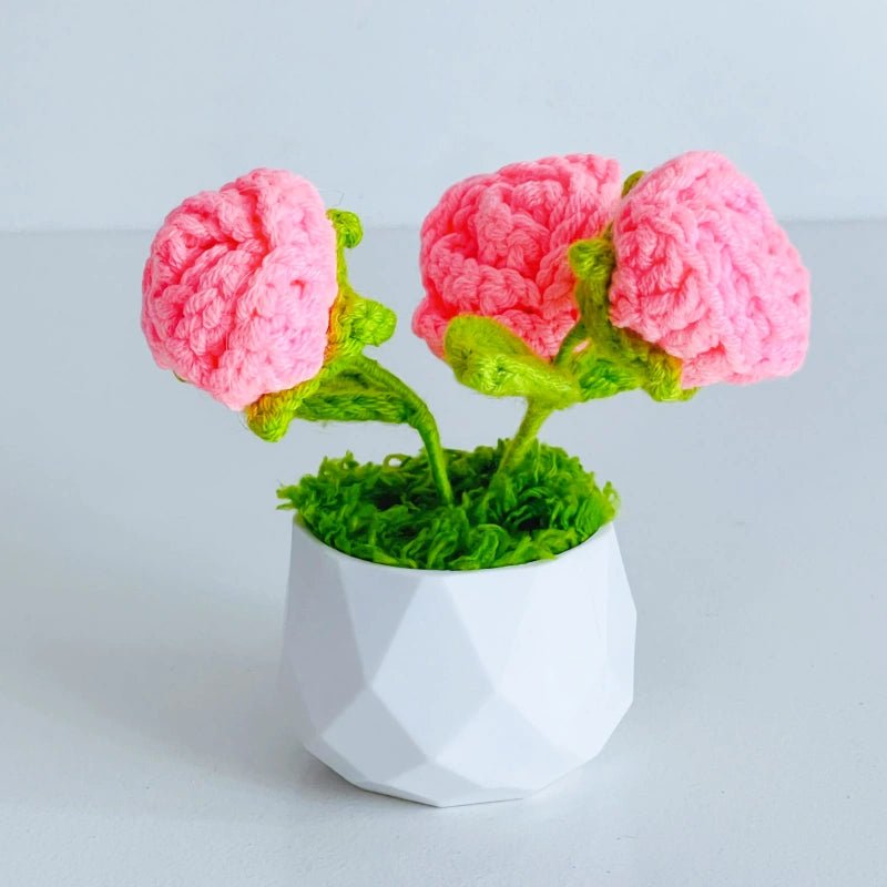 Handcrafted Crochet Flower Planter A29 - Small Beauty