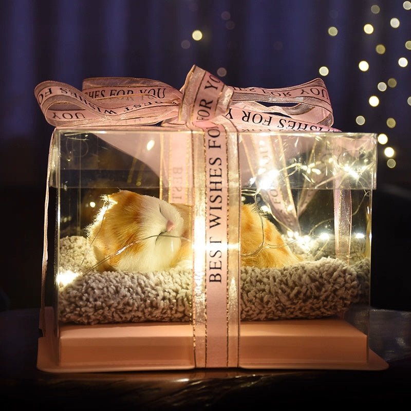 Light up pets - Small Beauty
