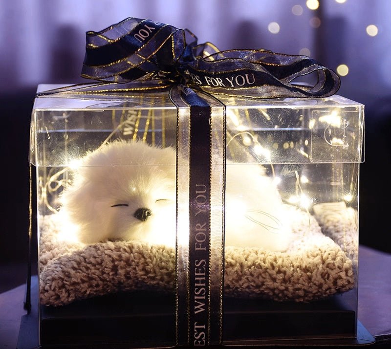Light up pets - Small Beauty