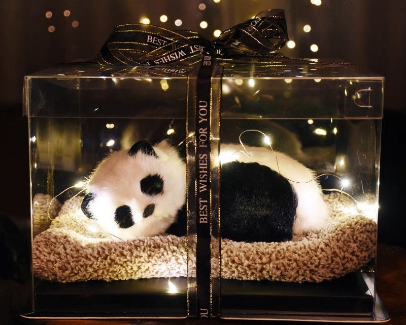 Light up pets - Small Beauty