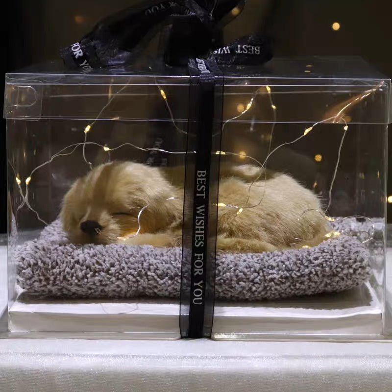 Light up pets - Small Beauty