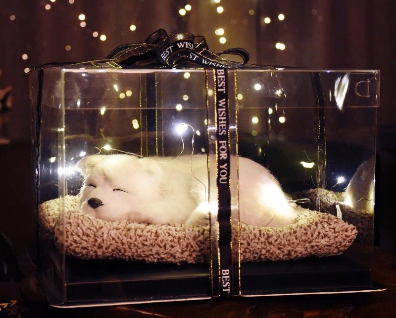 Light up pets - Small Beauty