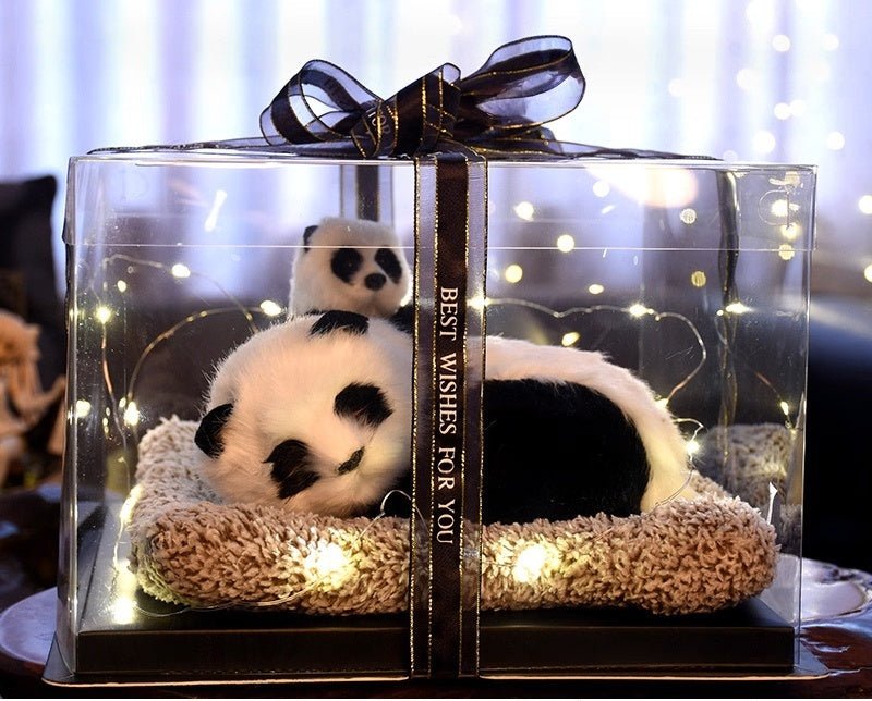 Light up pets - Small Beauty