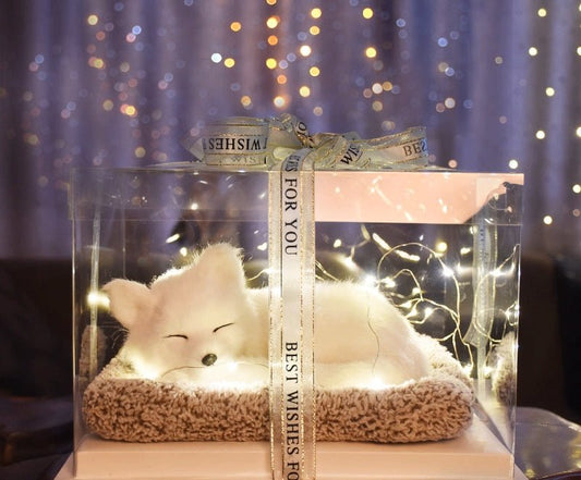 Light up pets - Small Beauty