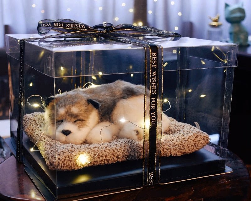 Light up pets - Small Beauty