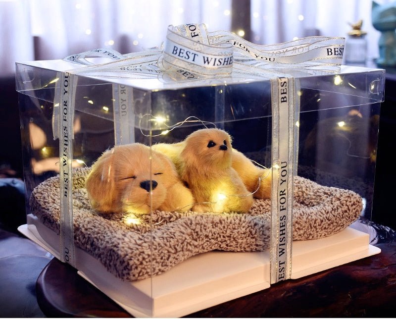 Light up pets - Small Beauty