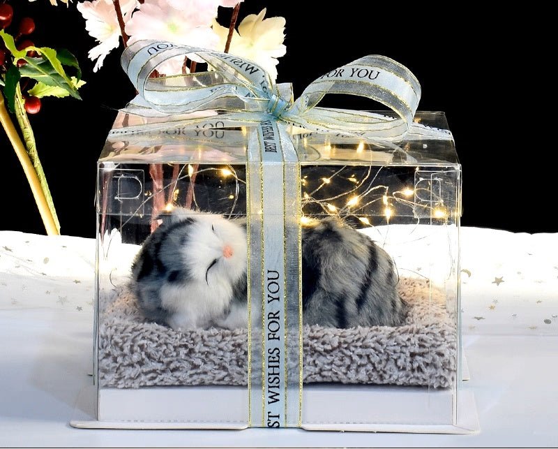 Light up pets - Small Beauty