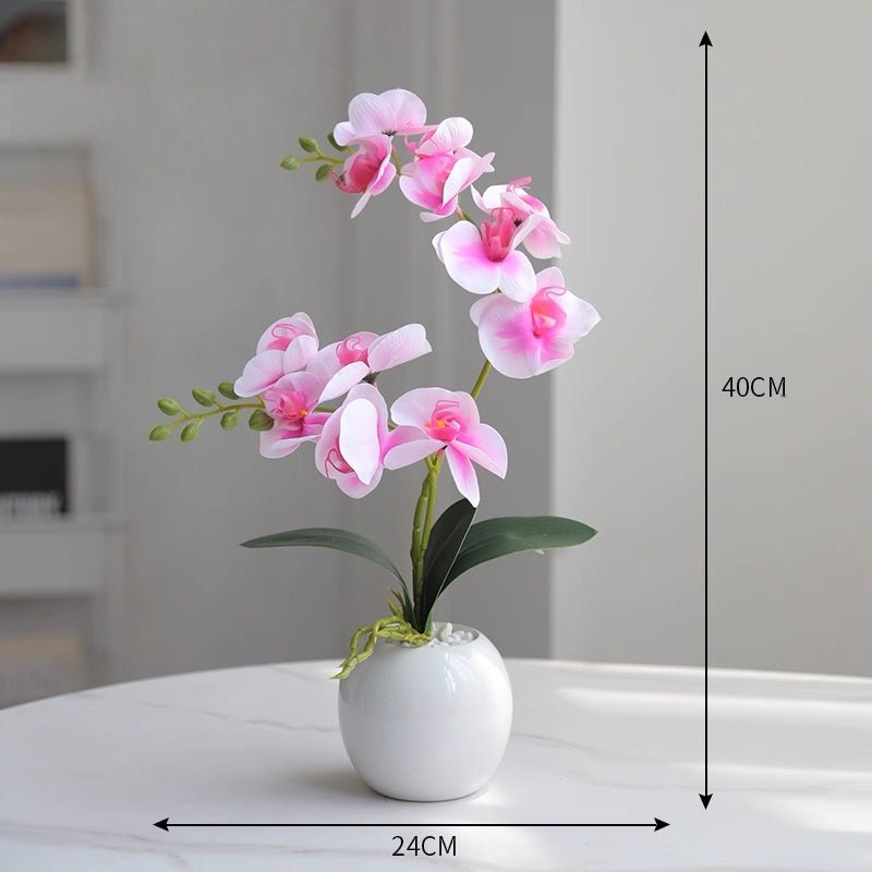 Phalaenopsis decoration - Small Beauty