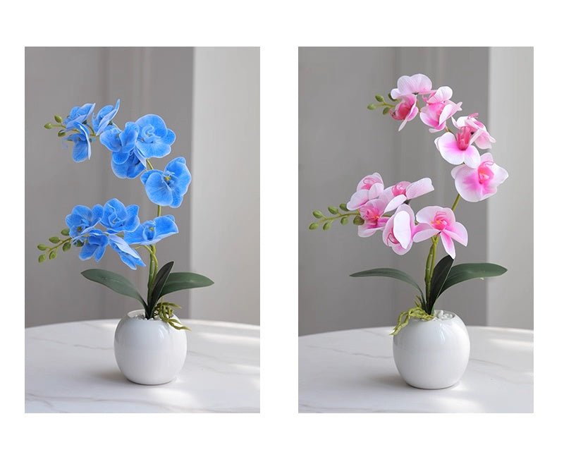 Phalaenopsis decoration - Small Beauty