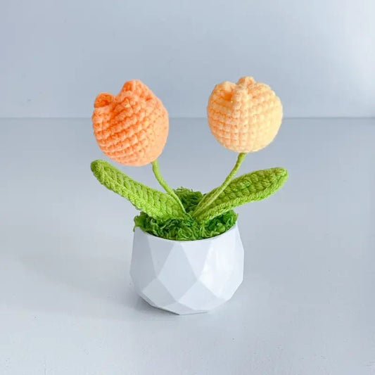 Handcrafted Crochet Flower Planter A18 - Small Beauty