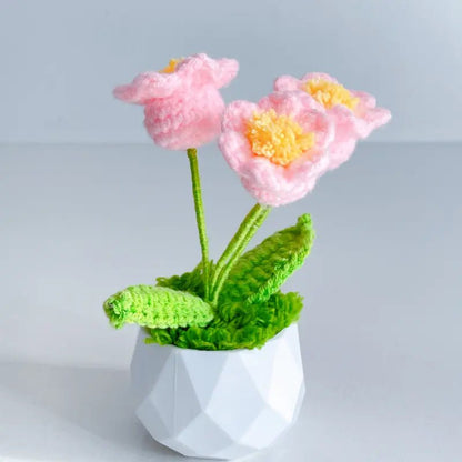 Handcrafted Crochet Flower Planter A22 - Small Beauty