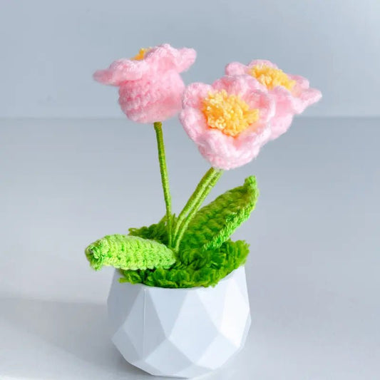 Handcrafted Crochet Flower Planter A22 - Small Beauty