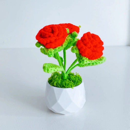 Handcrafted Crochet Flower Planter A29 - Small Beauty