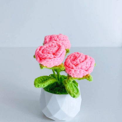 Handcrafted Crochet Flower Planter A29 - Small Beauty