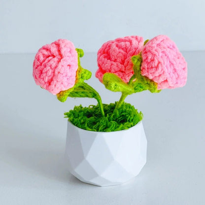 Handcrafted Crochet Flower Planter A29 - Small Beauty