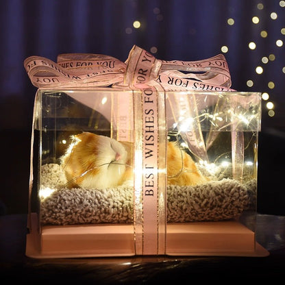 Light up pets - Small Beauty