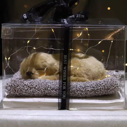 Light up pets - Small Beauty
