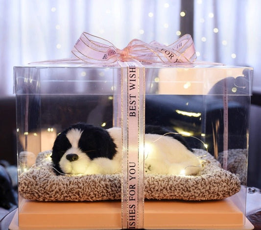 Light up pets - Small Beauty