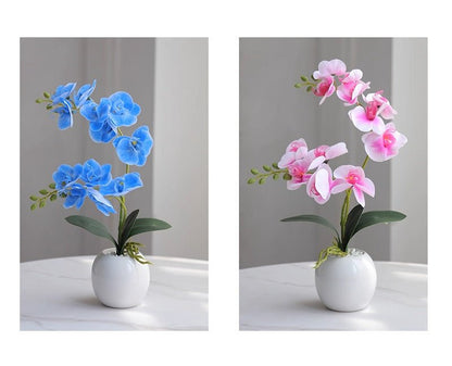 Phalaenopsis decoration - Small Beauty